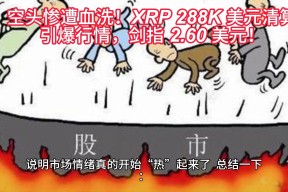 开云体育官网-XRP冲破13.2美元关口，大涨阶段是否已经开启？，投资者瞩目的简单介绍