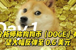 开云下载-狗狗币飙升势惊人，一夜飙升65%，加密市场沸腾，引爆行情的简单介绍