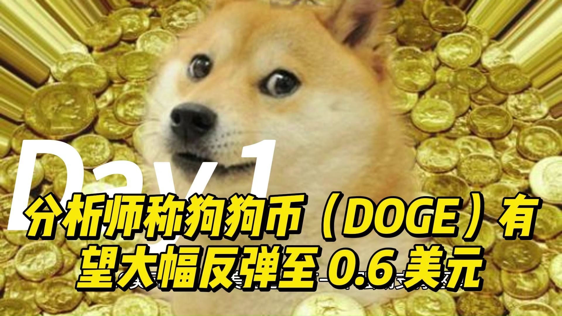 狗狗币飙升势惊人，一夜飙升65%，加密市场沸腾，引爆行情的简单介绍